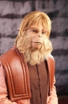 Custom facial hair
