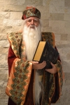 Rich's Dumbledore Cosplay
