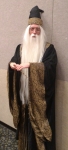 Travis' Dumbledore Cosplay