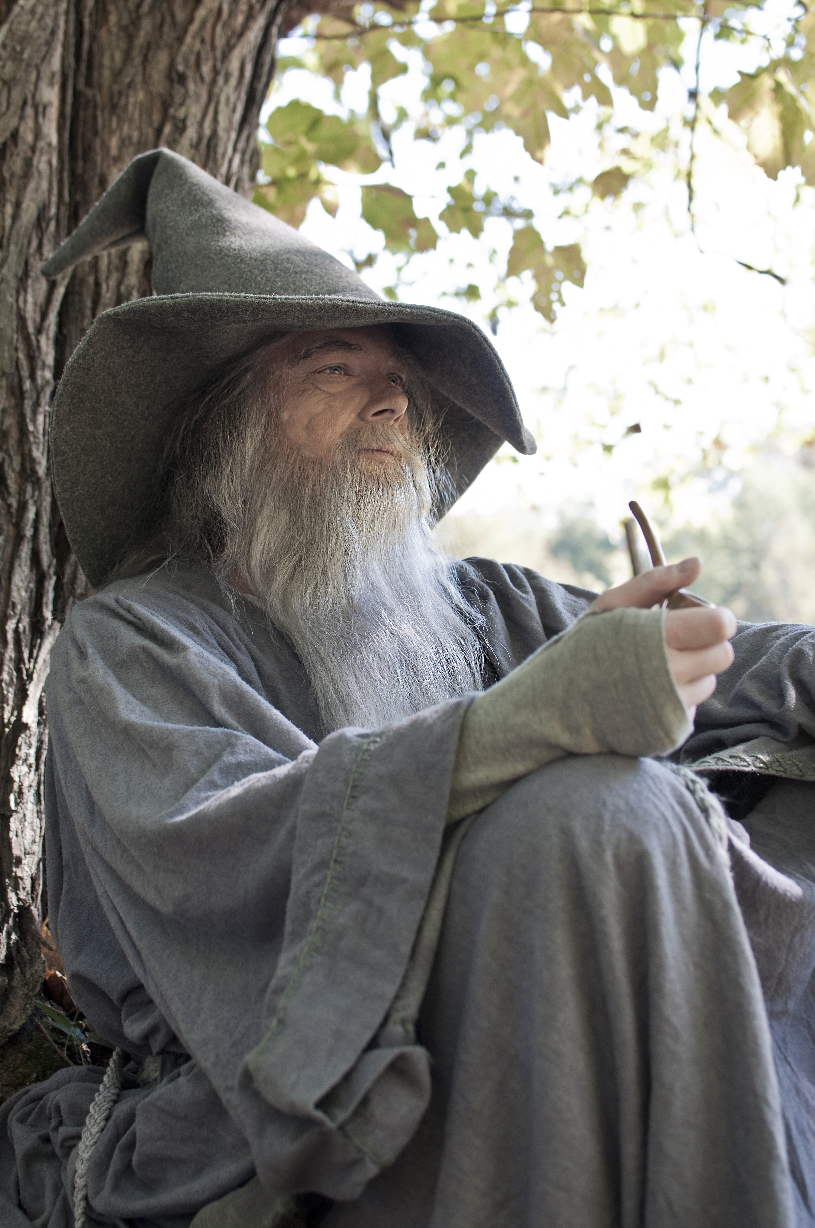 Gandalf-cosplay-