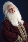 Custom Balin cosplay wig and beard