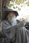 Gandalf cosplay