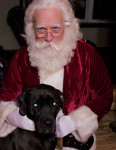 Santa Rob