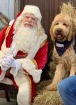 Santa-Dave-in-a-Tier-2.5-beard-long-wig-and-mustache