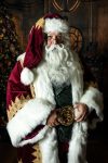 Santa wig and Tier 2.5 beard 