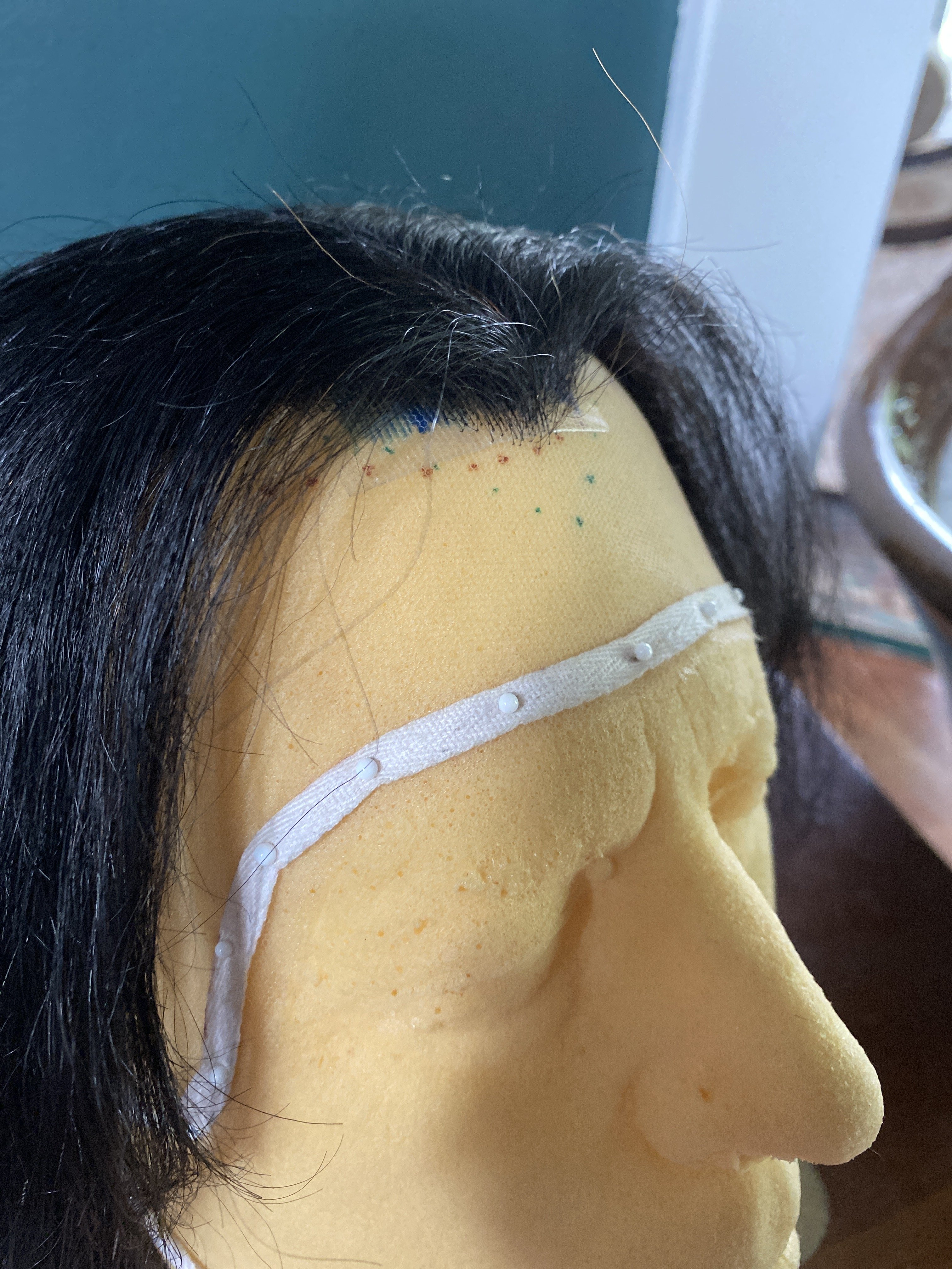 Detail of Snape Cosplay Wig