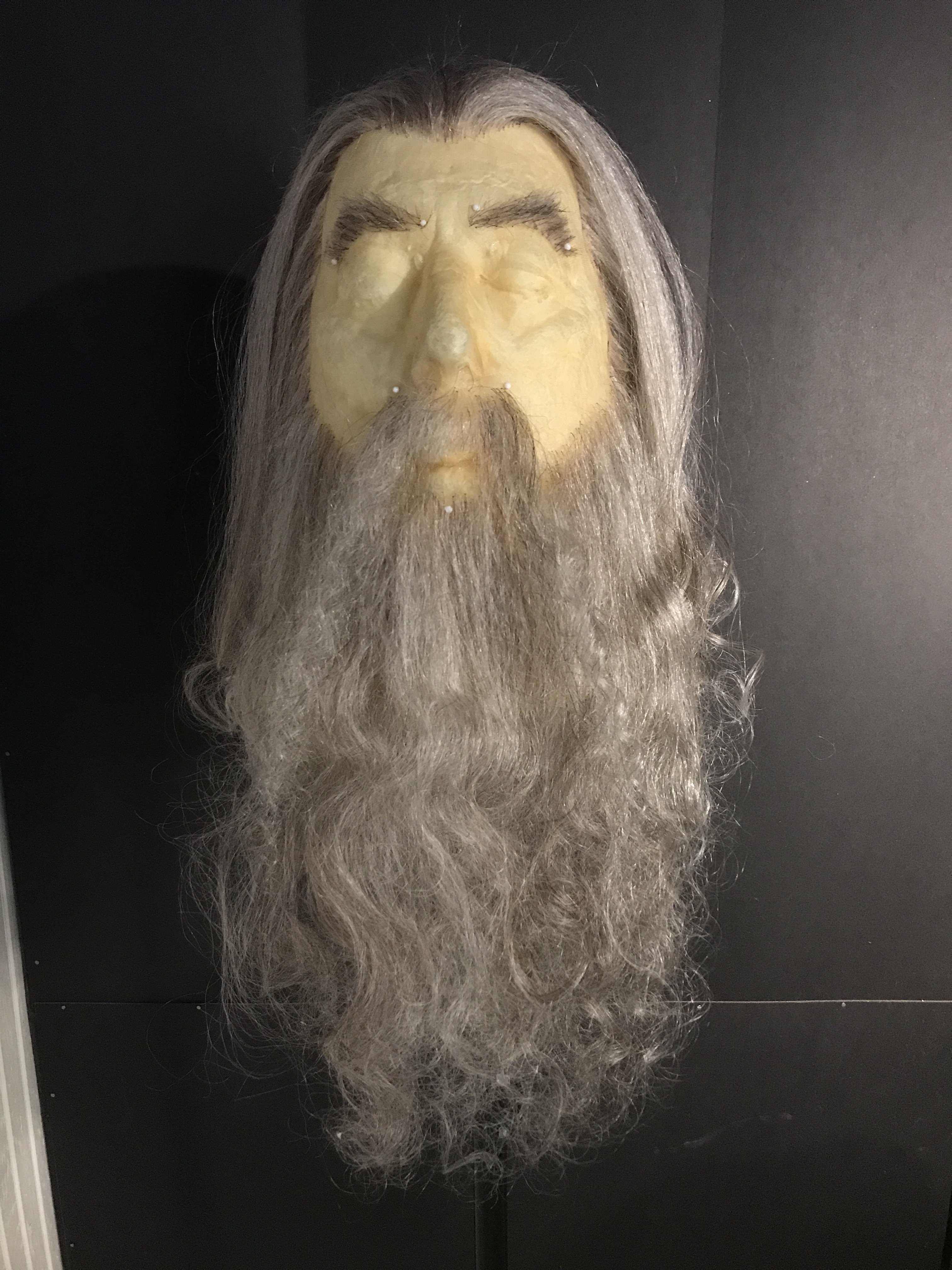 Gandalf Cosplay Beard and Wig