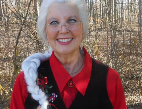 Project Profile: Mrs. Claus wig for Mrs. Carol Claus
